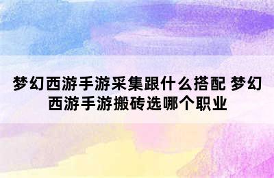 梦幻西游手游采集跟什么搭配 梦幻西游手游搬砖选哪个职业